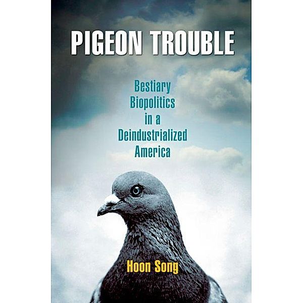 Pigeon Trouble, Hoon Song