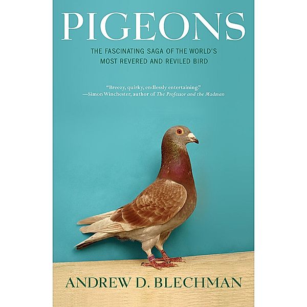 Pigeons, Andrew D. Blechman