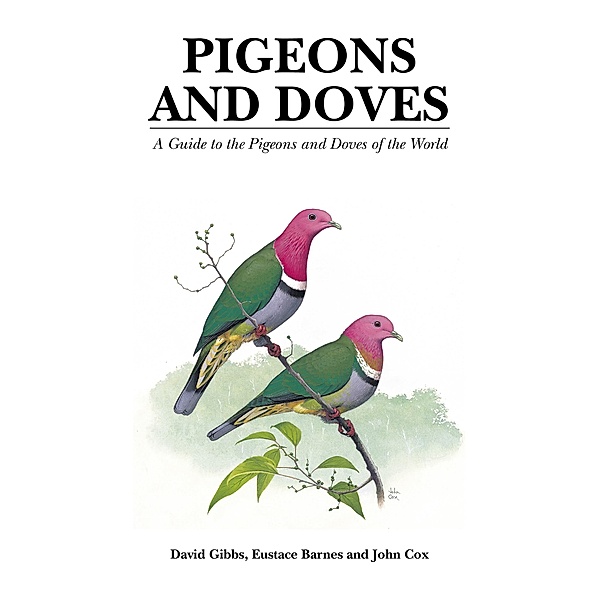 Pigeons and Doves, David Gibbs