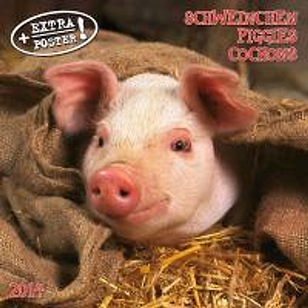 Piggies / Schweinchen 2014. Artwork Edition