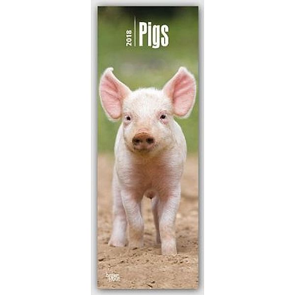 Pigs 2018, BrownTrout Publisher