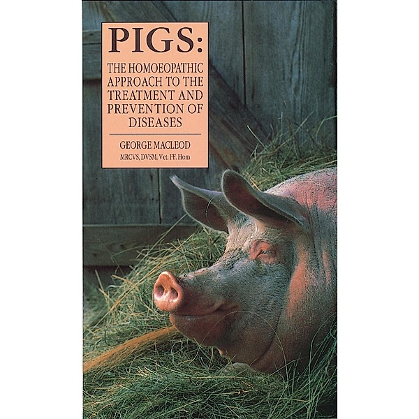 Pigs, George MacLeod