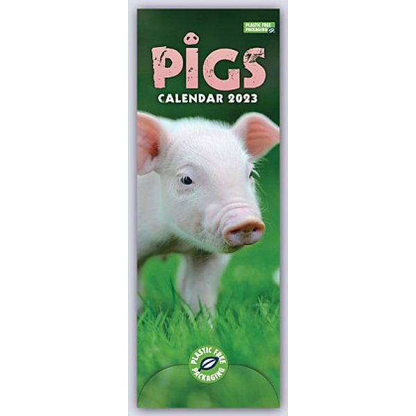 Pigs - Ferkel - Schweinchen 2023 - Slimline-Kalender, Carousel Calendar