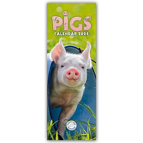 Pigs - Ferkel - Schweinchen 2024 - Slimline-Kalender, Carousel Calendar