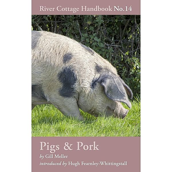 Pigs & Pork, Gill Meller