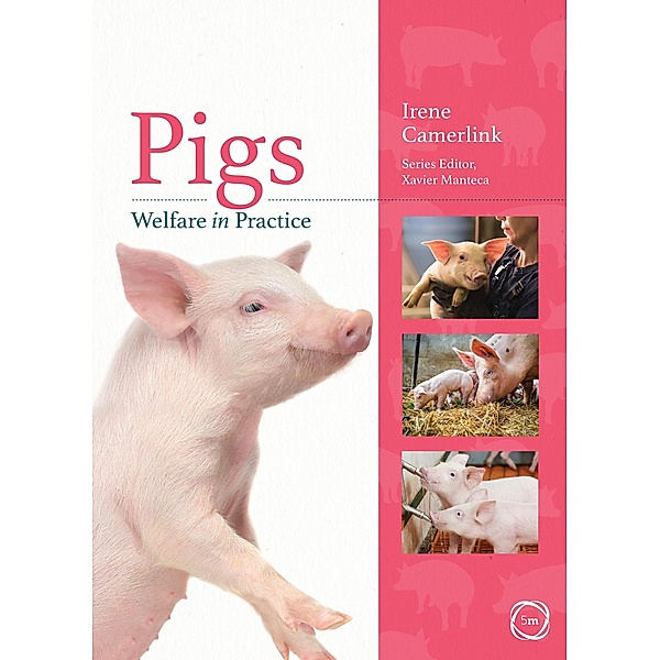 Pigs Welfare in Practice
