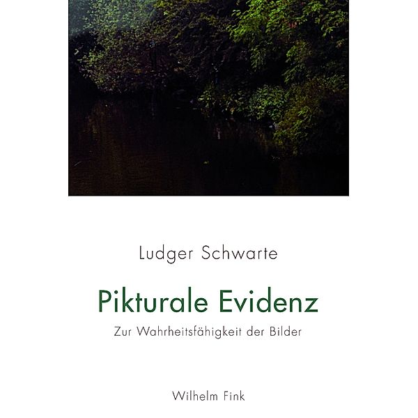 Pikturale Evidenz, Ludger Schwarte