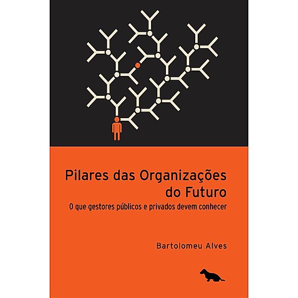 Pilares das organizações do futuro, Bartolomeu Alves