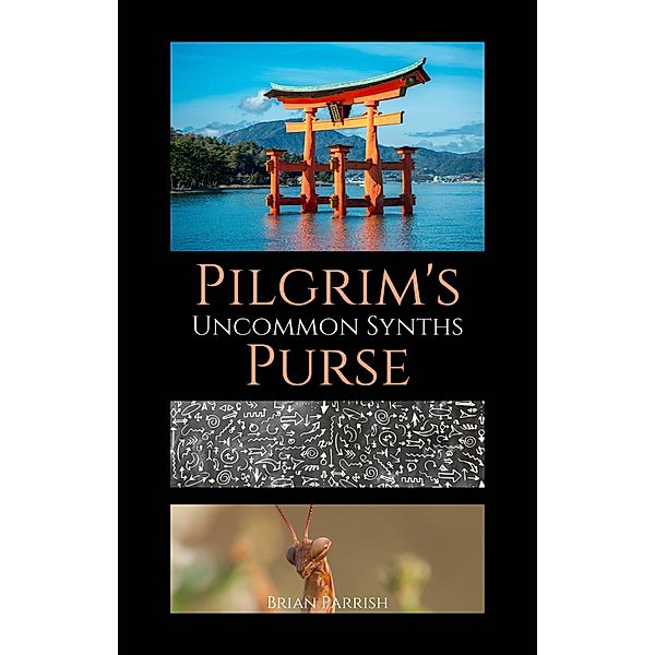Pilgrim's Purse: Uncommon Synths, Brian S. Parrish