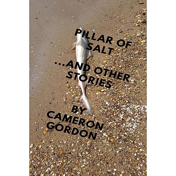 Pillar of Salt (and Other Stories) / Short story collections, Cameron Gordon