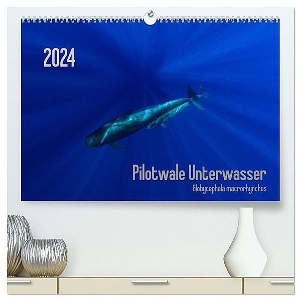 Pilotwale Unterwasser - Globicephala macrorhynchus (hochwertiger Premium Wandkalender 2024 DIN A2 quer), Kunstdruck in Hochglanz, Claudia Weber-Gebert
