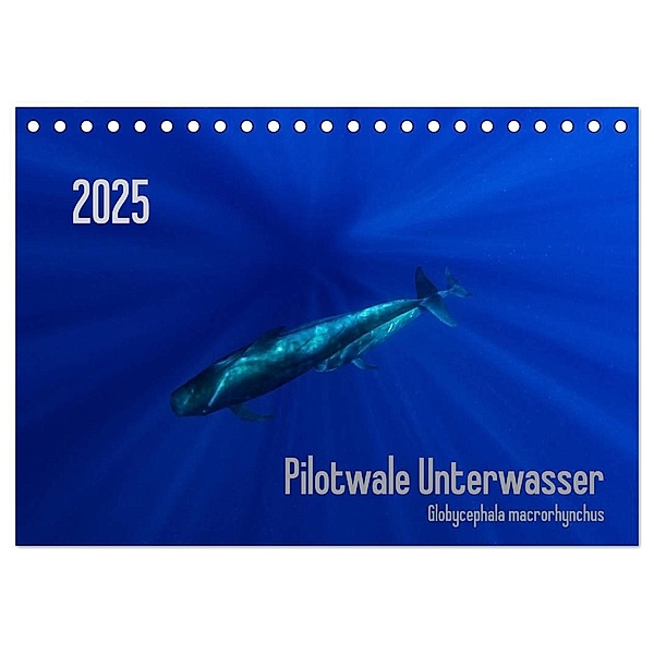 Pilotwale Unterwasser - Globicephala macrorhynchus (Tischkalender 2025 DIN A5 quer), CALVENDO Monatskalender, Calvendo, Claudia Weber-Gebert