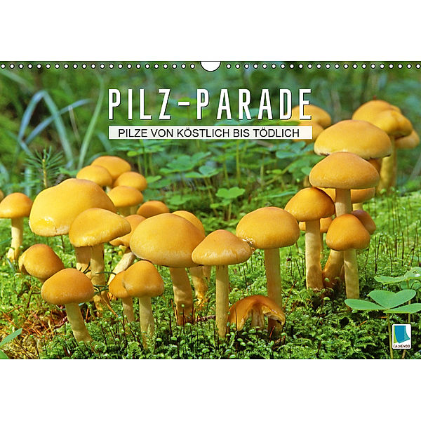 Pilz-Parade - Pilze von köstlich bis tödlich (Wandkalender 2019 DIN A3 quer), Calvendo
