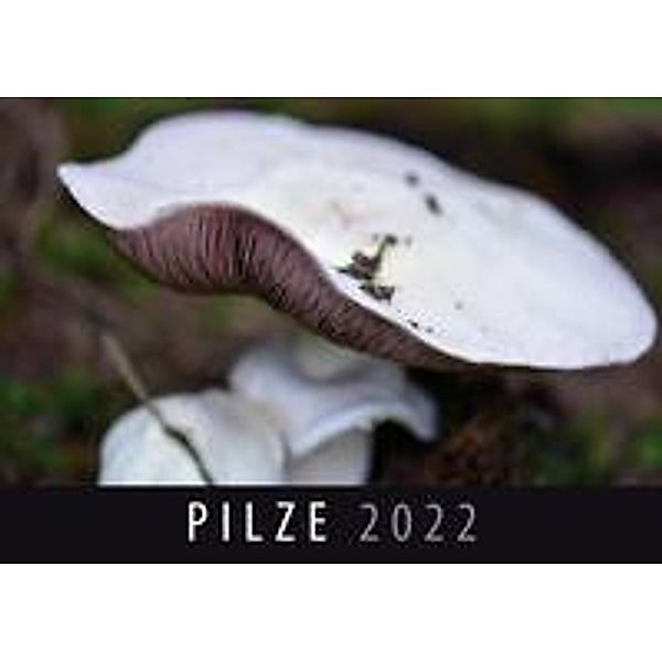 Pilze 2022