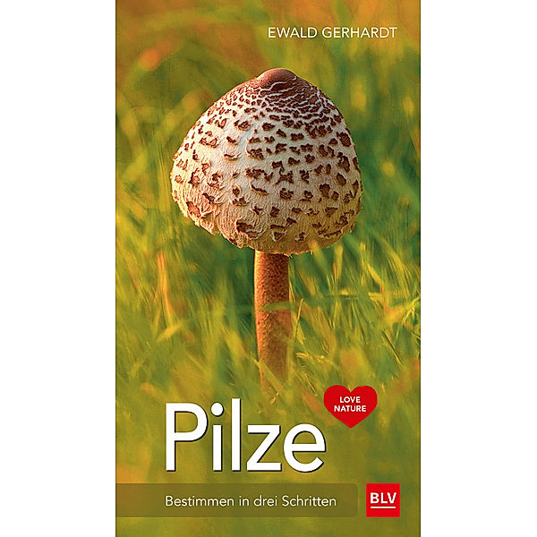 Pilze, Ewald Gerhardt