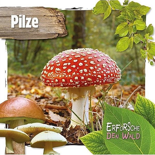 Pilze, Robin Twiddy