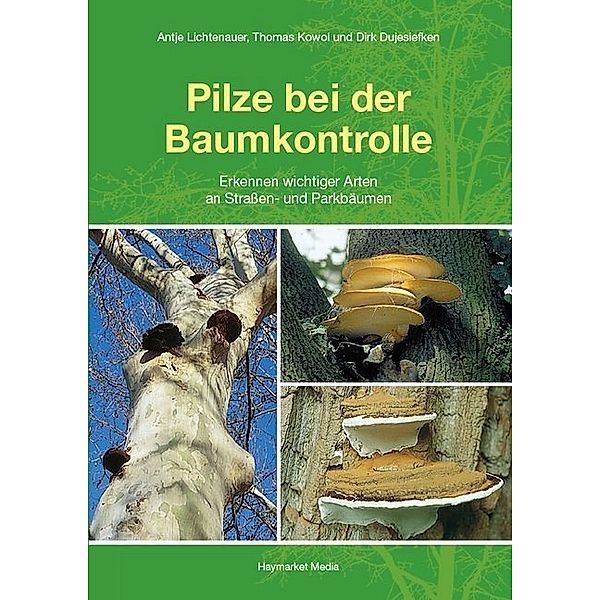 Pilze bei der Baumkontrolle, Antje Lichtenauer, Thomas Kowol, Dirk Dujesiefken