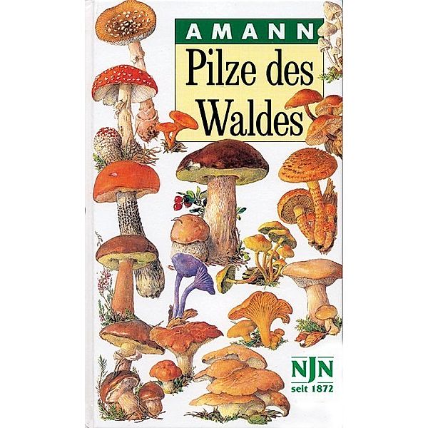 Pilze des Waldes, Gottfried Amann