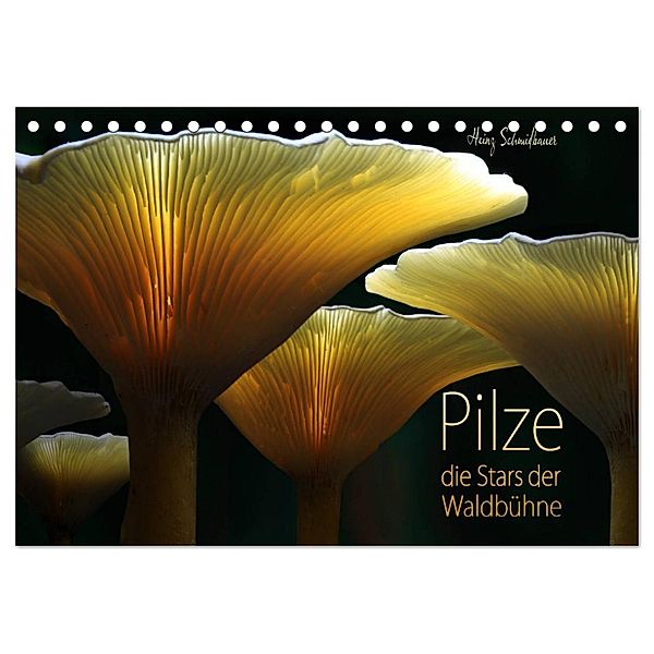 Pilze - die Stars der Waldbühne (Tischkalender 2024 DIN A5 quer), CALVENDO Monatskalender, Heinz Schmidbauer