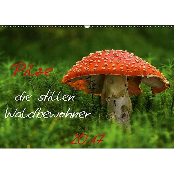 Pilze, die stillen Waldbewohner 2017 (Wandkalender 2017 DIN A2 quer), Hernegger Arnold