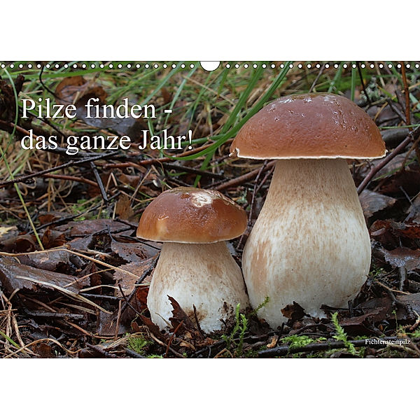 Pilze finden - das ganze Jahr! (Wandkalender 2020 DIN A3 quer), Rudolf Bindig