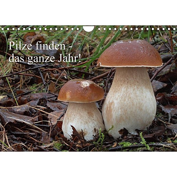 Pilze finden - das ganze Jahr! (Wandkalender 2023 DIN A4 quer), Rudolf Bindig