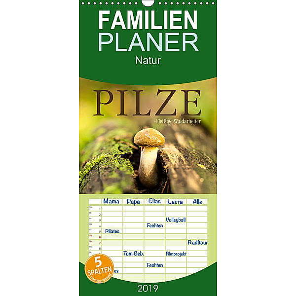 Pilze - fleißige Waldarbeiter - Familienplaner hoch (Wandkalender 2019 , 21 cm x 45 cm, hoch), Markus Wuchenauer pixelrohkost.de