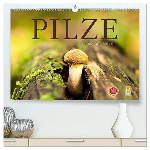 Pilze - fleißige Waldarbeiter (hochwertiger Premium Wandkalender 2024 DIN A2 quer), Kunstdruck in Hochglanz, Markus Wuchenauer - Pixelrohkost