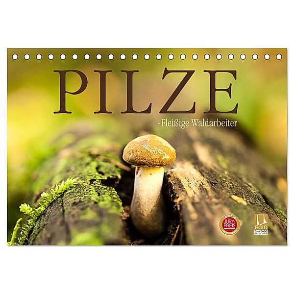 Pilze - fleißige Waldarbeiter (Tischkalender 2024 DIN A5 quer), CALVENDO Monatskalender, Markus Wuchenauer - Pixelrohkost