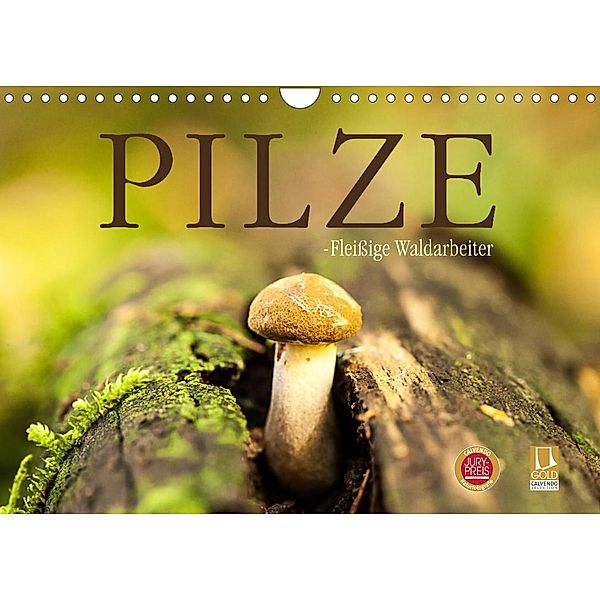 Pilze - fleißige Waldarbeiter (Wandkalender 2023 DIN A4 quer), Markus Wuchenauer - Pixelrohkost