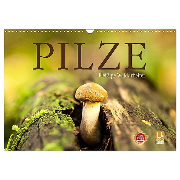 Pilze - fleißige Waldarbeiter (Wandkalender 2024 DIN A3 quer), CALVENDO Monatskalender, Markus Wuchenauer - Pixelrohkost