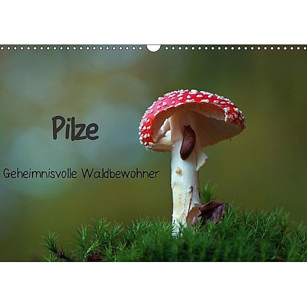 Pilze-Geheimnisvolle Waldbewohner (Wandkalender 2018 DIN A3 quer), Lutz Klapp