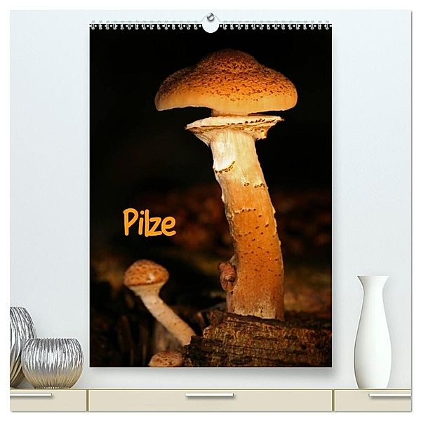 Pilze (hochwertiger Premium Wandkalender 2024 DIN A2 hoch), Kunstdruck in Hochglanz, Martina Berg