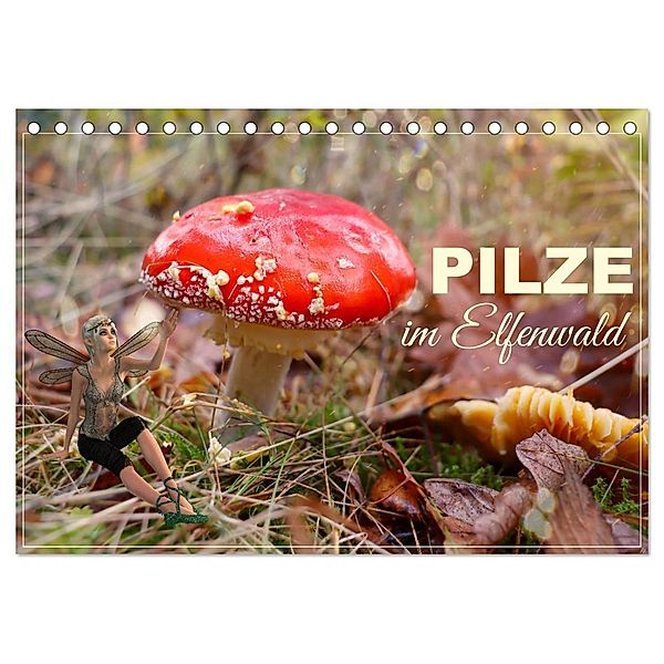 Pilze im Elfenwald (Tischkalender 2025 DIN A5 quer), CALVENDO Monatskalender, Calvendo, Sabine Löwer