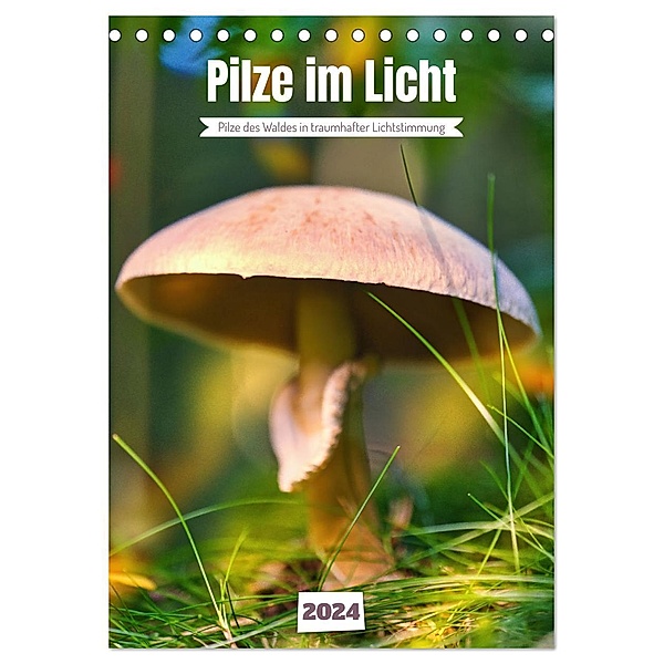 Pilze im Licht (Tischkalender 2024 DIN A5 hoch), CALVENDO Monatskalender, Calvendo, Torsten Irmer