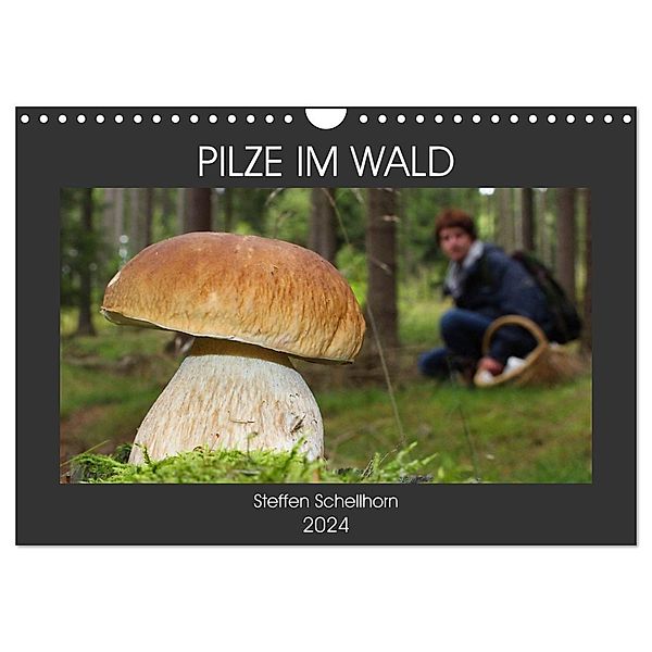 PILZE IM WALD (Wandkalender 2024 DIN A4 quer), CALVENDO Monatskalender, Steffen Schellhorn