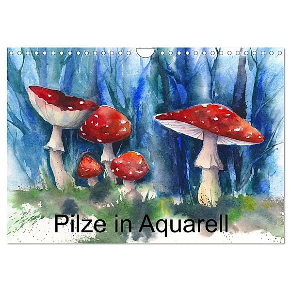 Pilze in Aquarell (Wandkalender 2024 DIN A4 quer), CALVENDO Monatskalender, Jitka Krause
