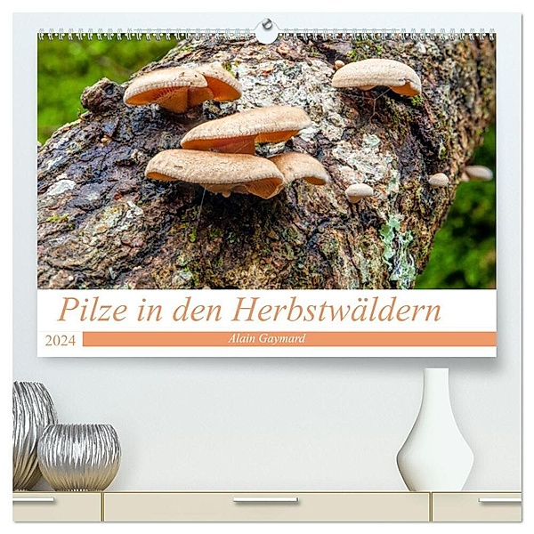 Pilze in den Herbstwäldern (hochwertiger Premium Wandkalender 2024 DIN A2 quer), Kunstdruck in Hochglanz, Alain Gaymard