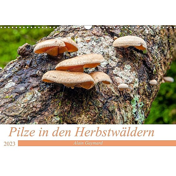 Pilze in den Herbstwäldern (Wandkalender 2023 DIN A3 quer), Alain Gaymard