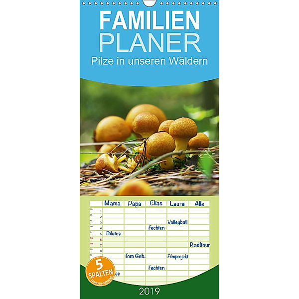 Pilze in unseren Wäldern - Familienplaner hoch (Wandkalender 2019 , 21 cm x 45 cm, hoch), Avianaarts Design Fotografie by Tanja Riedel