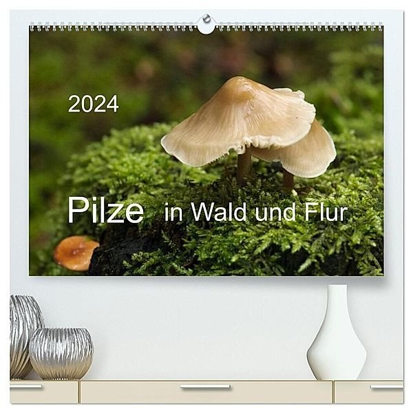 Pilze in Wald und Flur (hochwertiger Premium Wandkalender 2024 DIN A2 quer), Kunstdruck in Hochglanz, Heinz Pompsch