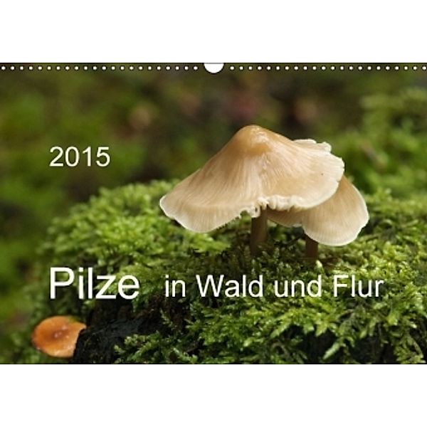Pilze in Wald und Flur (Wandkalender 2015 DIN A3 quer), Heinz Pompsch