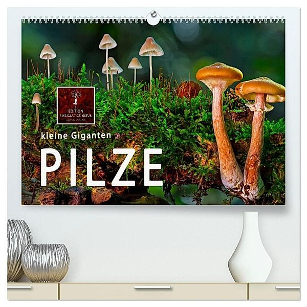 Pilze - kleine Giganten (hochwertiger Premium Wandkalender 2024 DIN A2 quer), Kunstdruck in Hochglanz, Peter Roder