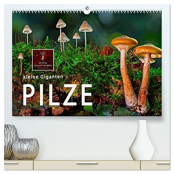 Pilze - kleine Giganten (hochwertiger Premium Wandkalender 2025 DIN A2 quer), Kunstdruck in Hochglanz, Calvendo, Peter Roder