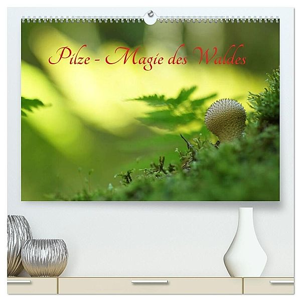 Pilze - Magie des Waldes (hochwertiger Premium Wandkalender 2024 DIN A2 quer), Kunstdruck in Hochglanz, Lutz Klapp