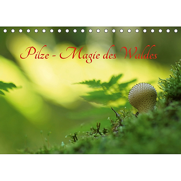 Pilze - Magie des Waldes (Tischkalender 2019 DIN A5 quer), Lutz Klapp