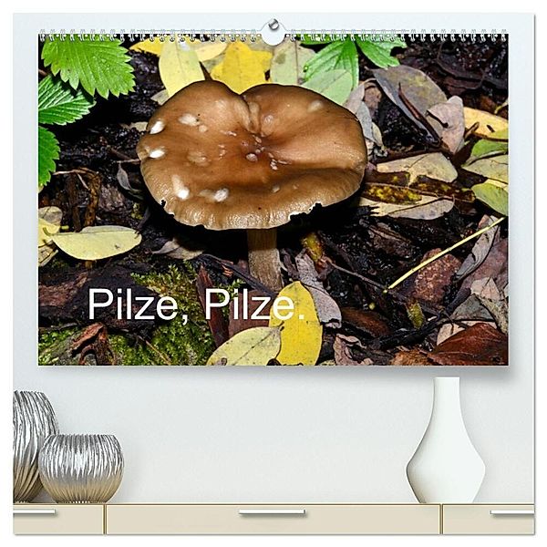 Pilze, Pilze (hochwertiger Premium Wandkalender 2024 DIN A2 quer), Kunstdruck in Hochglanz, Richard Oechsner