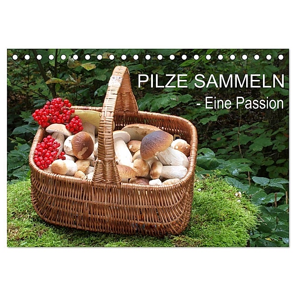 Pilze sammeln - eine Passion (Tischkalender 2025 DIN A5 quer), CALVENDO Monatskalender, Calvendo, Rudolf Bindig