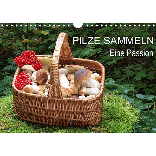 Pilze sammeln - eine Passion (Wandkalender 2020 DIN A4 quer), Rudolf Bindig