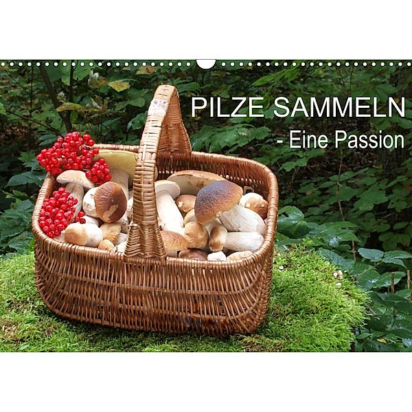 Pilze sammeln - eine Passion (Wandkalender 2023 DIN A3 quer), Rudolf Bindig